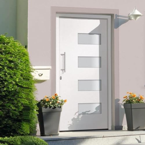 Porte Di Casa, Portone Multiuso, Porta d'Ingresso in Alluminio e PVC Bianco 100x210 cm Adatto a Salotti Cantina E Ufficio Cucina Bagno