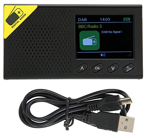 Radio portatile FM Dab Dab + schermo LCD da 2,4 pollici radio digitale stereo wireless Bluetooth per uso domestico