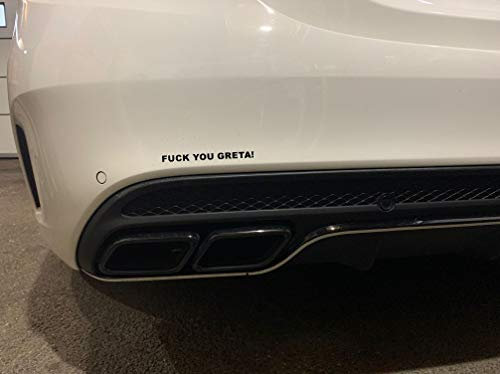 Dinger-Design Aufkleber F*** You Greta Tuning Umweltzone Sticker JDM OEM Fuck Autoaufkleber (weiß)