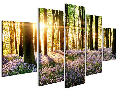 islandburner Bild auf Leinwand Glockenblumen Blühen Im Wald Mit Morgenlicht Wandbild Poster Kunstdruck Bilder
