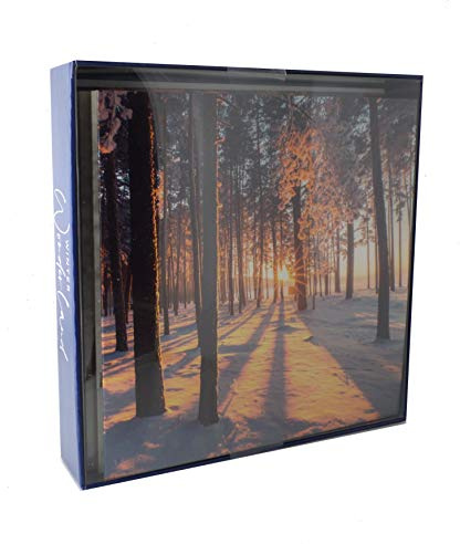 Second Nature Box of 8 Winter Wonderland Christmas Cards In 2 Designs Xmas Card Packs XCPC002