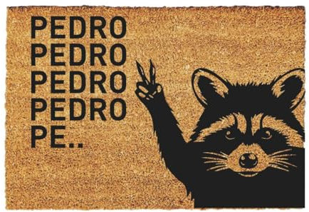 Giftstory Kokosmatte Fußmatte Kokos Pedro Waschbär für Innen und Außen 60x40 Fussmatte Haustür - Willkommen Doormat Mat Lustig Türmatte - Geschenk Gift Gadget Pedro Waschbär Song