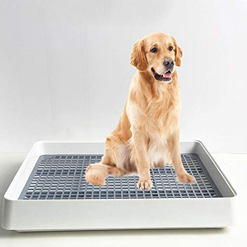QQAA Inodoro de Plástico para Perros, Bandeja de Entrenamiento de Malla, Perros Cajas de Arena, Derrames, Accidentes Que Mantienen Las Patas Secas y los Pisos Limpios