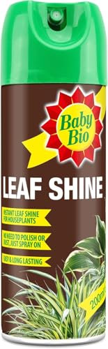 ASA® Baby Bio Leaf Shine - Houseplant Care - Aerosol Spray - Removes Dust from Plant Leaves - For a Natural Long Lasting & Healthy Shine - Ready to Use - Prevents Yellowing - 200ml