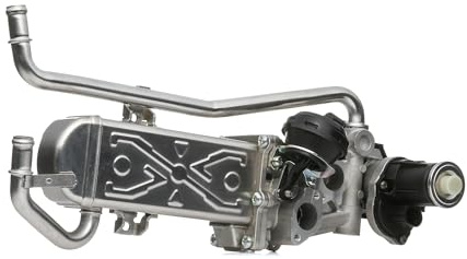 DELPHI EG10589-12B1 AGR-Ventil Abgasrückführungsventil mit AGR-Kühler mit AGR-Kühler Kompatibel mit VW Polo Schrägheck 6R1, 6C1 03L131512AN 03L131512AS 03L131512BA