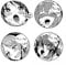 EARLFAMILY 13 cm (5,1 Zoll) 4 Stück Anime Girl Aufkleber für Fill Me Up Autoaufkleber Persönlichkeit niedliche Aufkleber Anime Kratzfest Wohnwagen Kühlschrank Laptop Dekor
