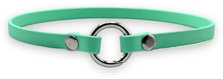 Markenhalsband Classic aus BioThane® für Hunde- oder Steuermarken | dünn & leicht (Karibikgrün)