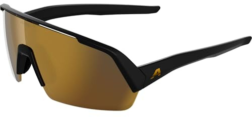 ALPINA TURBO HR Sportbrille, black-gold matt, One Size