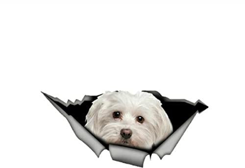 OGJFLT Auto Sticker Autoaufkleber Lustig Dog 2Pcs 26Cm X 12Cm Tier Süßer Hund Autoaufkleber Malteser Zerrissenes Metall Autos Und Motorräder Dekoration Vinyl-Aufkleber Wasserdicht