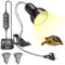 HeatingLux Wärmelampe für Schildkröten, E27 Terrarien Wärmelampe mit Timer und Temperaturregelungsfunktion, zwei 100W E27 UVA UVB Wärmelampen, Schildkröten Wärmelampe mit Clip für Schildkröten