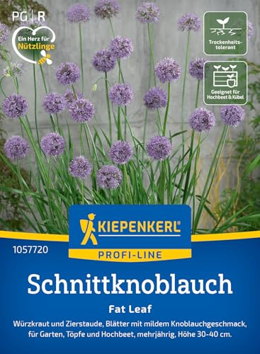 Kiepenkerl Schnittknoblauchsamen Fat Leaf 1057720, Kräutersaat | Würzkraut- und Zierstaude mit Knoblauchgeschmack, aromatisch, Ernte ab Winter, für Beet, Hochbeet & Freiland