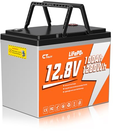 Bateria LiFePO4, Bateria Litio 12v 100Ah Recargable de Ciclo Profundo con protección contra Baja Temperatura, BMS, 1280 WH de energía, para caravanas, autocaravanas, Pesca con caña y demás