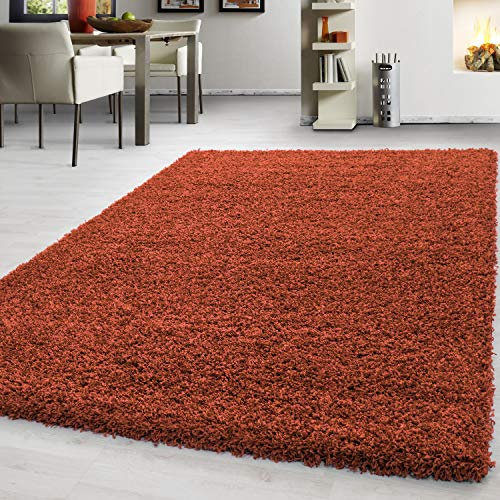 Teppium Moderner Hochflor Teppich Wohnzimmer 250x350 (240 x 340 cm) Terrakotta - Shaggy Flauschiger Teppich, Extra Weich, Pflegeleicht und Einfarbig - für Schlafzimmer, Küche und Esszimmer