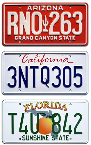 Celebrity Machines Fast and Furious | Paul Walker | Metal Stamped License Plates