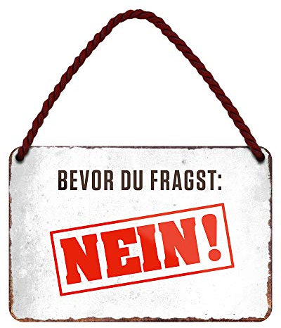 Bevor du fragst: Nein! - witziges Metallschild mit Kordel und Saugnapf - Hängeschild mit lustigen Spruch - Türdeko oder Wanddeko für Wohnung Werkstatt Arbeit Büro Jugendzimmer Gaming - 18x12cm