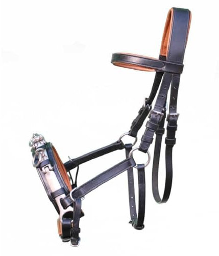 Brama West Leder Kappzaum mit Naseneisen - Gr. Cob