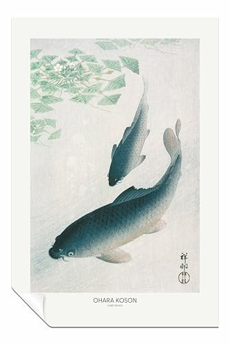 Poster mit Karpfen oder Koi, ungerahmt, Bilder für Wände, Schlafzimmer, Wohnzimmer und Badezimmer, 61 x 41 cm