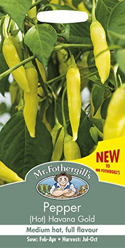 Mr Fothergill's 27333 Pepper Havana Gold Seed Packet, Yellow, 0.3x7.5x14.5 cm