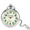 Avaner Taschenuhr mit Kette Herren Damen Pulloverketten Taschenuhren Pocket Watch Vintage Uhr für Frauen Männer