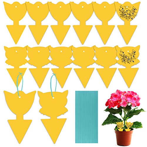 Yewrrite Fruit Fly Trap, 12 Pack Yellow Sticky Traps Killer Fungus Gnat Traps, Double-Sided Catchers for Protect Plants and Control Indoor Plant Bug, Paper Flies Mosquitoes Gnats