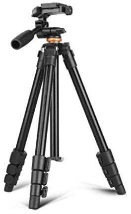 QZSD Q160A Handy Live Kamera Ständer DV Video Selfie Stativ mit Schwenkkopf für DV DSLR