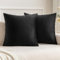 MIULEE Samt Kissenbezug Kissenhülle Kissenbezüge Sofakissen Dekorative Dekokissen Couchkissen Deko Bezug Überzug Zierkissen für Sofa Wohnzimmer Schlafzimmer 2er Set 55x55 cm Schwarz