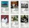 Ein Set mit 6 Leinwand-Postern, Lamar-Poster, Good Kid Maad City, Poster Verdammtes Poster, Mr. Morale & The Big Steppers, Posterabschnitt, 80 Poster To A Butterfly, 6-teiliges Set, 20,3 x 30,5