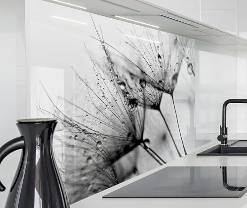 timalo Spritzschutz Wand für Herd, Küche Küchenrückwand Glasoptik | Acryl Glas 2mm | Glasrückwand Acrylglas Wandpaneele Rückwandschutz Platte | 140x50cm Löwenzahn schwarz Weiss