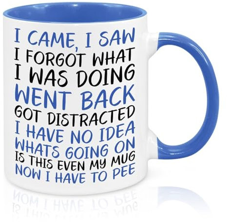 I Came I Saw I Forgot Mug, Funny Mug, 11oz Ceramic Coffee Mug/Tea Cup, Senior Citizens Mug, for Senior Women and Men, Birthday, Mothers Day, Fathers Day, Christmas