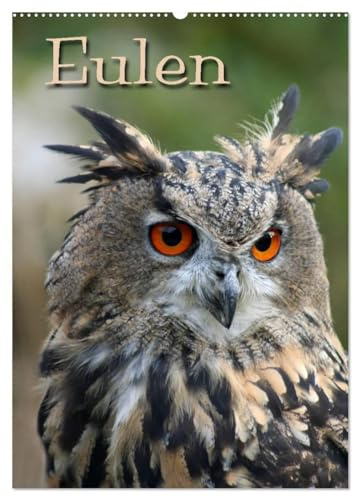 Eulen (Wandkalender 2026 DIN A2 hoch), CALVENDO Monatskalender: Lautlose Jäger der Nacht (CALVENDO Tiere)