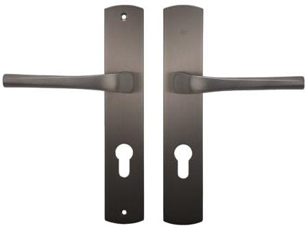 BRICARD 8790T1 Paire de poignées Titane zamack sur plaque eVidence, porte d'entrée