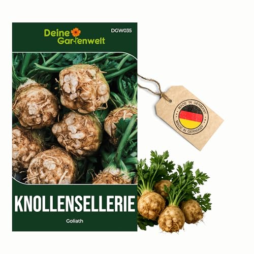 Knollensellerie Goliath Samen - Apium graveolens - Selleriesamen - Gemüsesamen - Saatgut für 50 Pflanzen