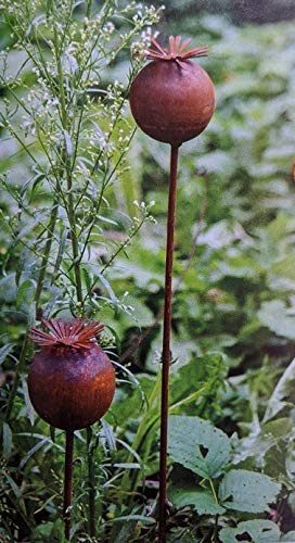 terracotta-toepfe-de 2er-Set Gartenstecker Mohn je 1x 40 cm und 1x 60 cm lang aus Metall in Edelrost Garten Deko Blumen Stecker Rankhilfe Rost