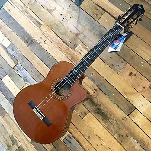 Tanglewood EM-DC5 Dominar Elektroakustische Konzertgitarre mit Cutaway – Decke aus massivem Zedernholz mit Gigbag