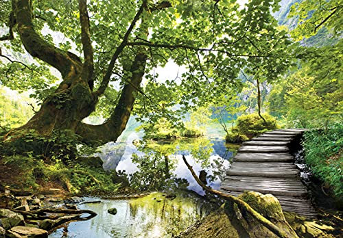 Fototapete Baum Wald Landschaft See Wohnzimmer Schlafzimmer Wandtapete Vlies Tapete Latexdruck UV-Beständig Geruchsfrei Hohe Auflösung Montagefertig (11235, V4 (254x184 cm) 2 Bahnen)