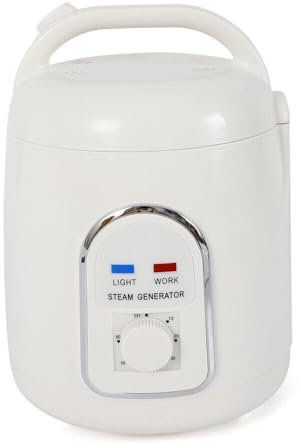 LNINNERY Générateur de vapeur 900 W pour sauna - Appareil à vapeur - Appareil à vapeur - Soin de la peau pour la relaxation du corps - Douche SPA