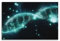 XHHOKA Poster mit menschlicher DNA-DNA-Struktur, dekorative Leinwand, Wand- und Kunstposter, Gemälde, 30 x 45 cm