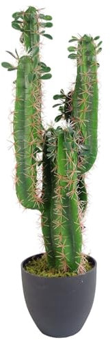 Leaf Plantes artificielles Tropicales, Cactus 75 cm, 75 cm