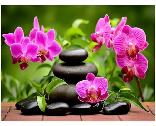 DCIDBEI DIY Diamond Painting Orchidee Quadratische Steine Phalaenopsis 50x40cm 5D Diamant Painting Set Full Drill Stickerei Groß Bilder Malerei Malen nach Zahlen Stitch Diamant Gemälde für Wand Dekor