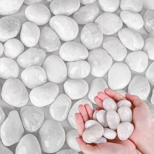 Galets pour plantes (blanc, 2,5 kg)