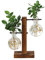 Glas Pflanzgefäße Blumentopf, Hydroponik Hängevase für Wasserpflanze mit Retro Solid Ständer, Blumenvase Pflanze Terrarien Pflanzenbehälter