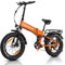 VARUN E Bike Herren und Damen Elektrofahrrad, Faltbares 20 * 4.0 Zoll E-Bike, mit 48V/13Ah Li-Ion Akku, LCD Display, Dual Shock Absorption, Leistung bis zu 100km, MTB
