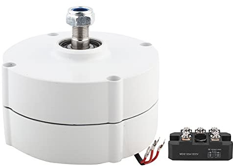 Generador de imán permanente, alternador eléctrico trifásico de CA, generador de imán permanente AVAN 300w suministros industriales (With rectifier 12V)