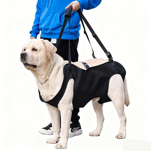 Tragehilfe Hund Hilfsgurt, Mobilitätshilfen für Hund Hebegeschirr, Rehabilitation Geschirr Mobilität Sling, Rehabilitation Geschirr Mobilität Sling, Für Behinderte, Verletzte Oder Ältere Hunde (M)
