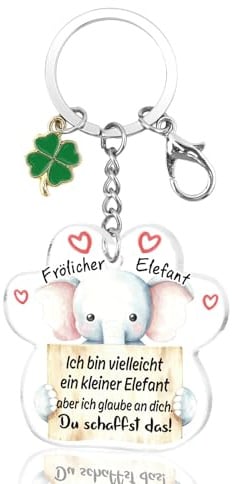 Nudoraw Tiere Geschenke Weihnachten Schlüsselanhänger Tiere Geschenk für Frauen Neujahrsgeschenke Glücksbringer Motivationsgeschenk Viel Glück Geschenk Valentinstag Geschenke für Mädchen Tochter