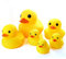 Novelty Place [Posen & Quietschen Sechs Gummiente Familienpack Ducky Baby Badespielzeug für Kinder (6er Pack)