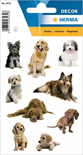 HERMA 3432 Aufkleber Hunde klein groß, 27 Stück, Tiere Sticker mit Labrador Dackel Collie Hunderassen Motiv, Kinder Etiketten für Fotoalbum Tagebuch Poesiealbum Scrapbooking Geburtstag Deko Briefe DIY
