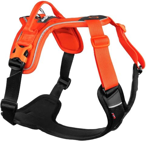 Non-Stop dogwear Ramble Harness | orange | Führ und Alltagsgeschirr, Größe:L