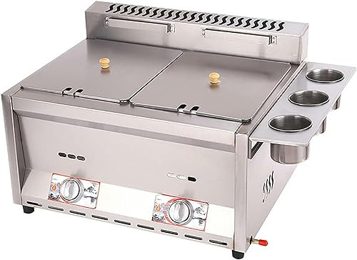 Friteuse à gaz, avec 8L + 8L, en Acier Inoxydable, pour Frites de Poulet, Cuisine à Domicile, Restaurant