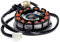 Lichtmaschine Stator 12 Pole für Minarelli AM6 Euro4 Euro5